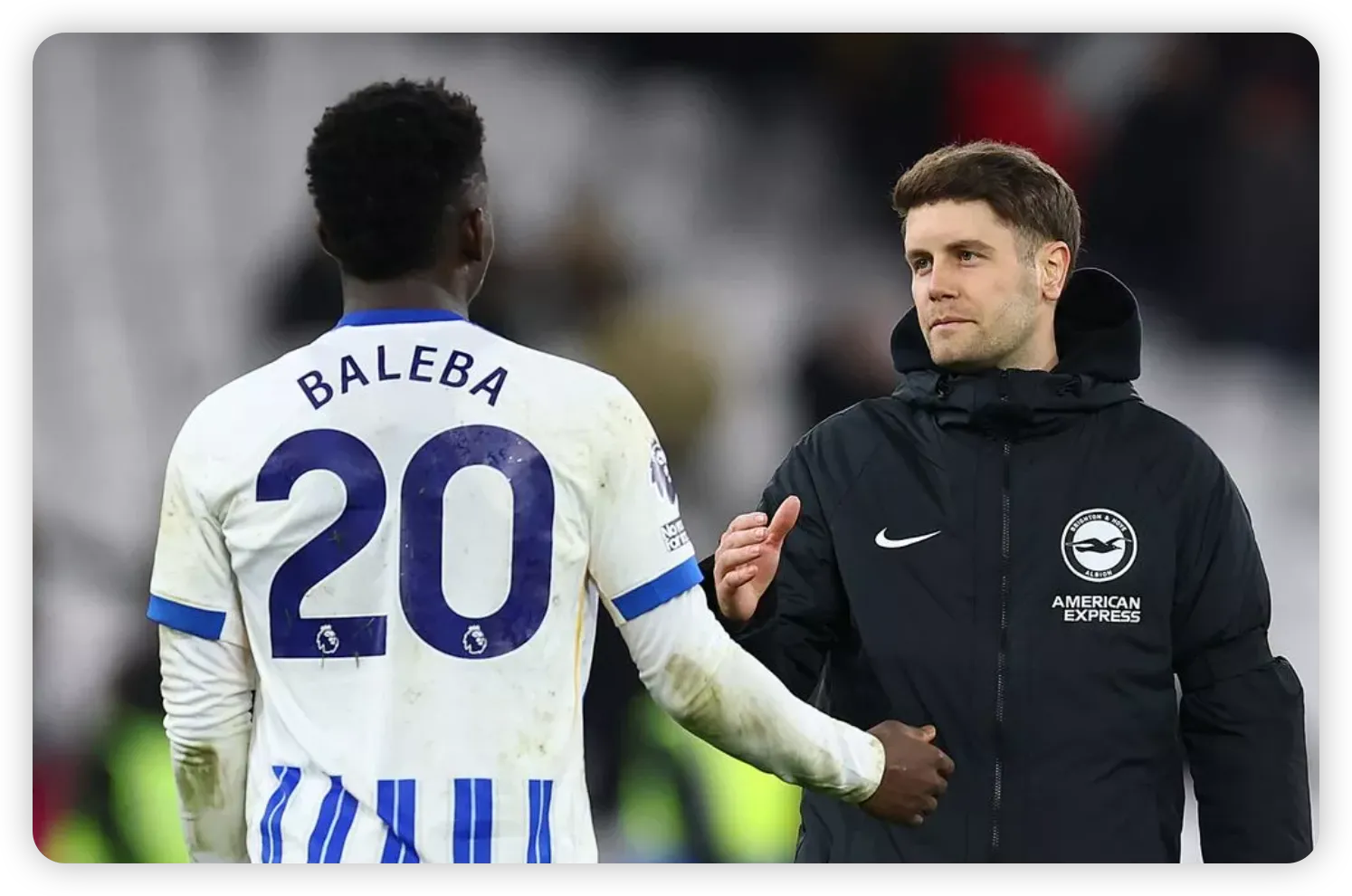 Introducing Brighton's Newest Midfield Prodigy