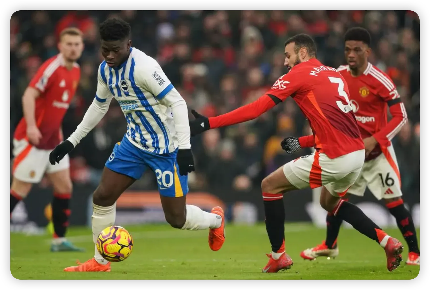 The Caicedo Factor and Future Prospects